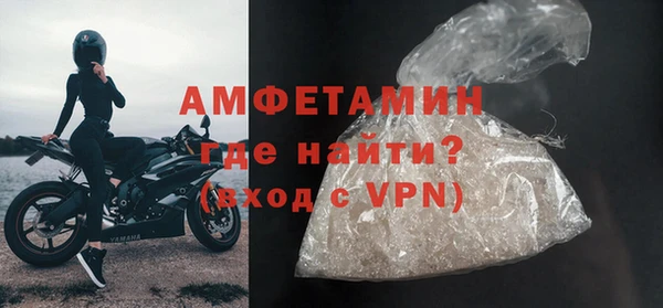прущие грибы Лабытнанги