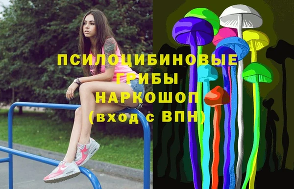 шишки Новочеркасск