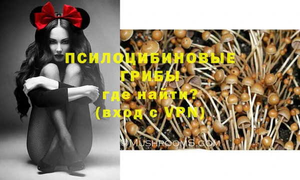 скорость Кукмор