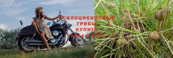 2c-b Куйбышев