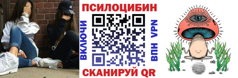 Галлюциногенные грибы Psilocybe  Купить  Канск 